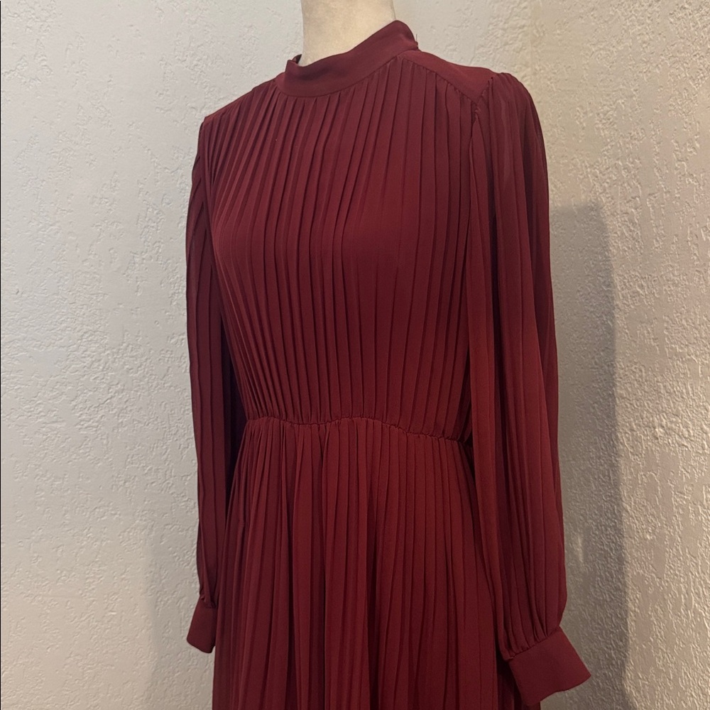 Zara Long Sleeve Maxi Dress in Burgundy - Picture 3 of 3